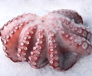 Осьминог с/м, 300г