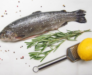 Форель карельская охл.