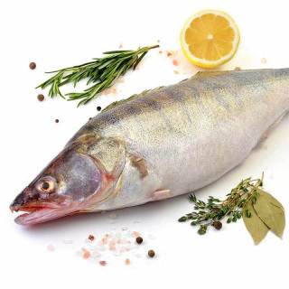 Судак охл, с/м