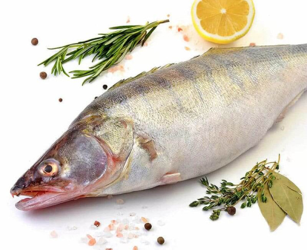 Судак охл, с/м фото