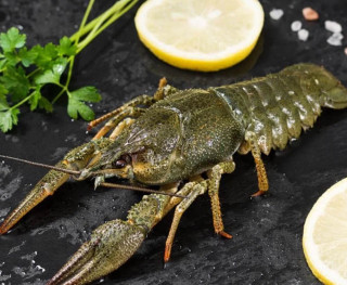 Раки живые крупные, 60-80г