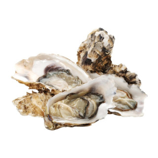 Устрицы Хасанские живые 150/200