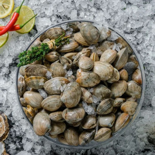 Вонголе живые