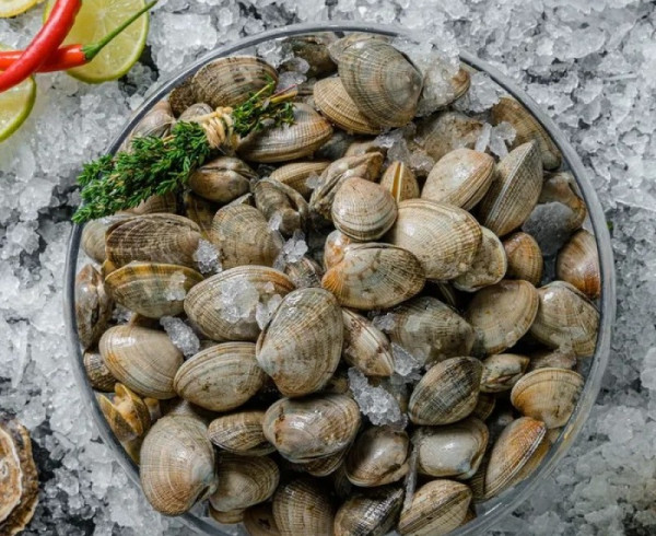 Вонголе живые фото