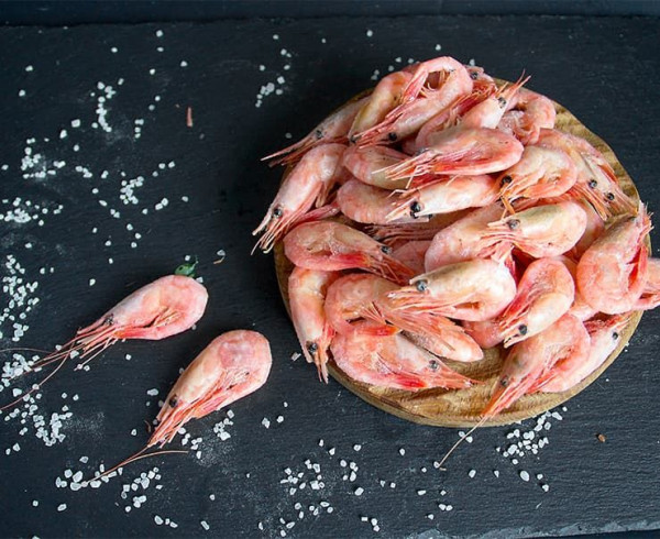 Креветка 150+ фото